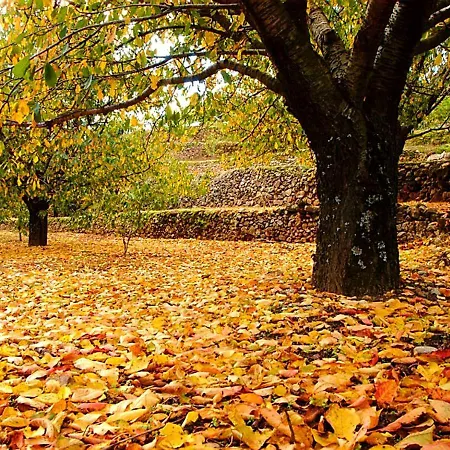 El Mirador De Cabezuela, Con Vistas Al Valle Del Jerte *