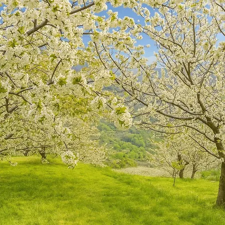 El Mirador De Cabezuela, Con Vistas Al Valle Del Jerte Апартаменты Кабесуэла-дель-Валье