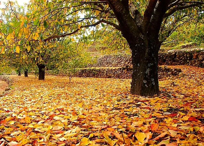 El Mirador De Cabezuela, Con Vistas Al Valle Del Jerte *