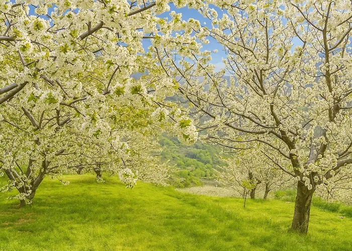 El Mirador De Cabezuela, Con Vistas Al Valle Del Jerte Apartmán Cabezuela Del Valle